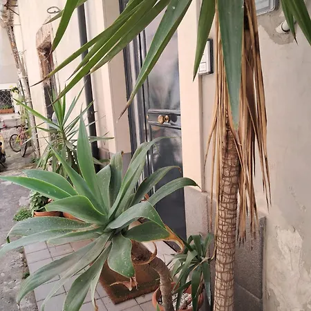 Le Grazie 16 * カターニア