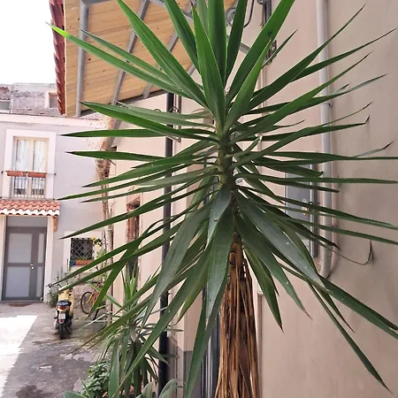 Le Grazie 16 カターニア